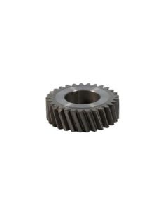 PINION 29 DINTI
