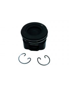 ANSAMBLU PISTON