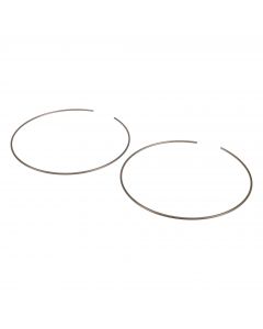 SAIBA ELASTICA
