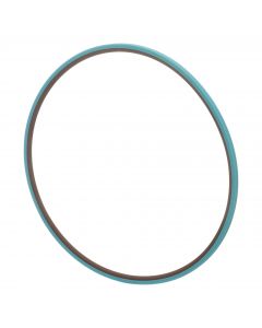 ORING AMBREIAJ TRANSMISIE