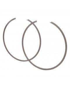 SAIBA ELASTICA