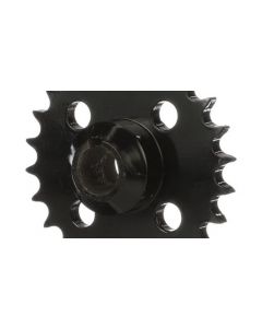 PINION