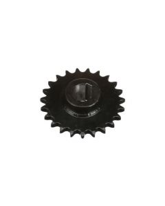 PINION