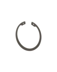 SAIBA ELASTICA