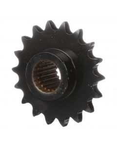 PINION