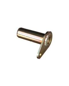 PIN